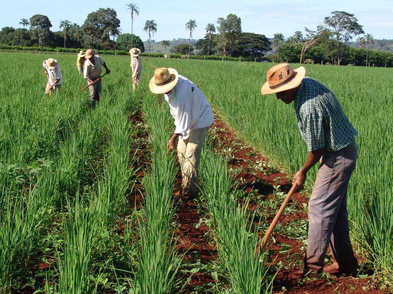 Bolsonaro-veta-medidas-de-amparo-a-agricultores-familiares-durante-a-pandemia