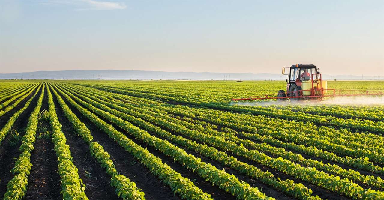 agricultura-no-campo-cópia