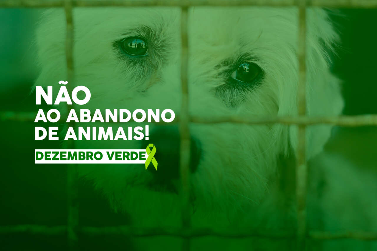 blog_dezembroverde