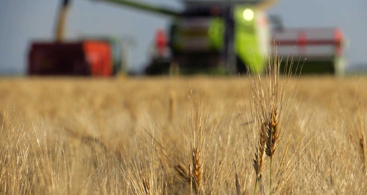 plano-safra-agricultura-armazenamento