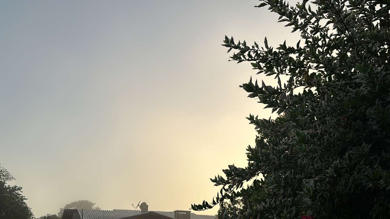 6EA177D2-F821-4D5F-BD30-38376C2351AB