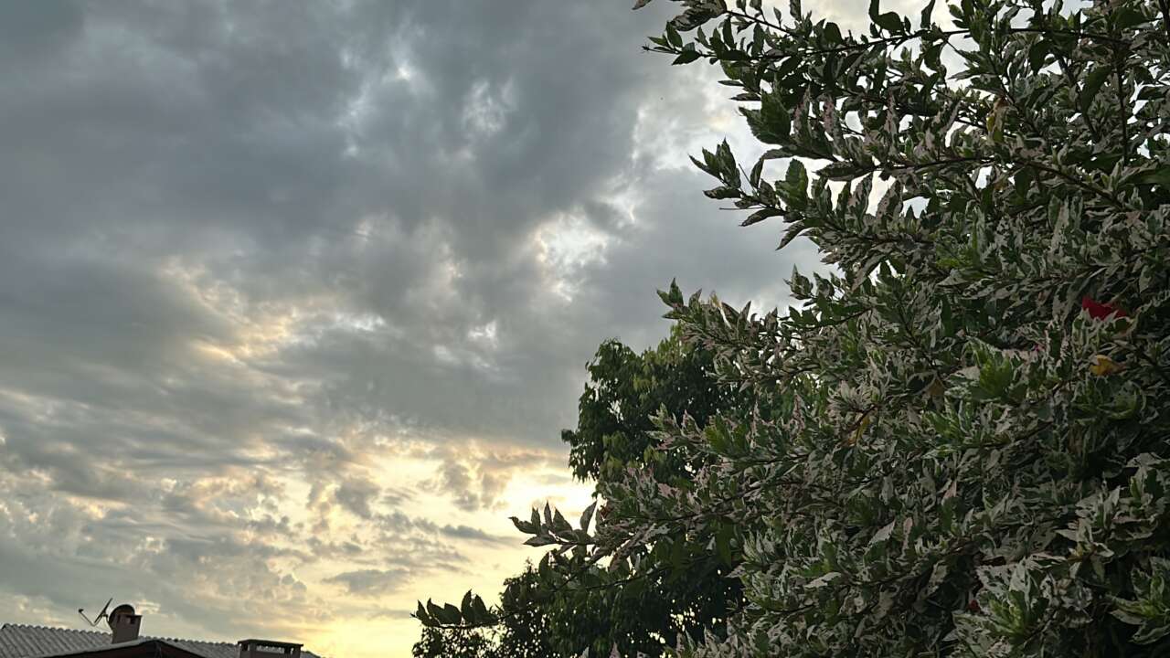 E070FA62-B34A-4C89-984E-8662C2DE5AF1