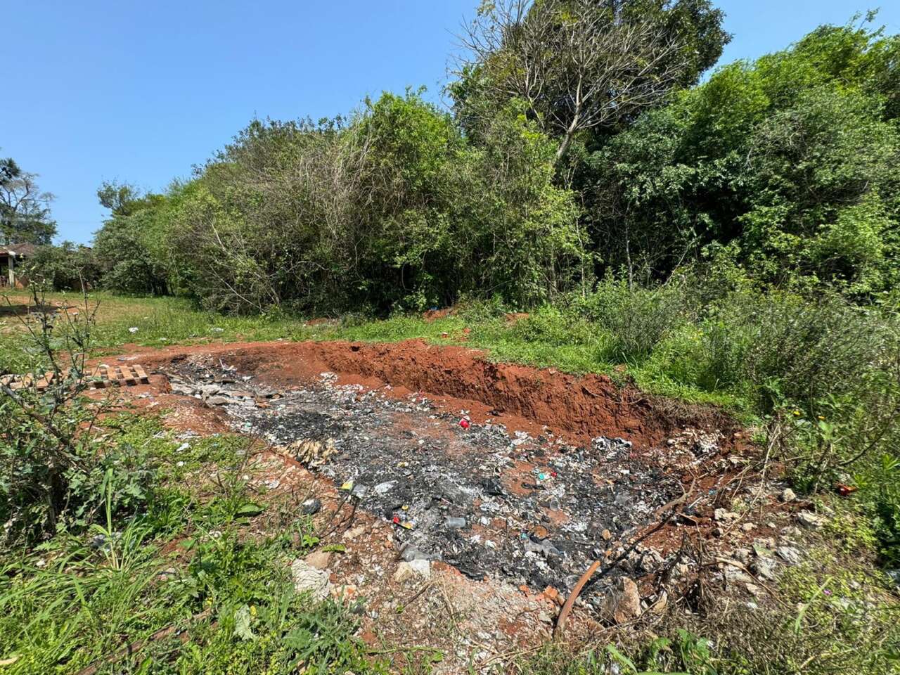 Foto: Divulgação Polícia Ambiental