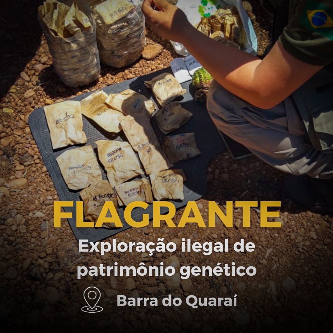 exploração-do-patrimônio