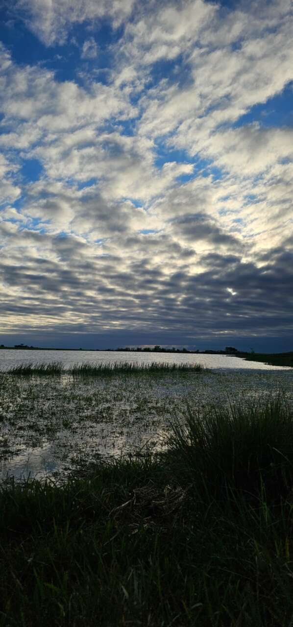 IMG-20241206-WA0076