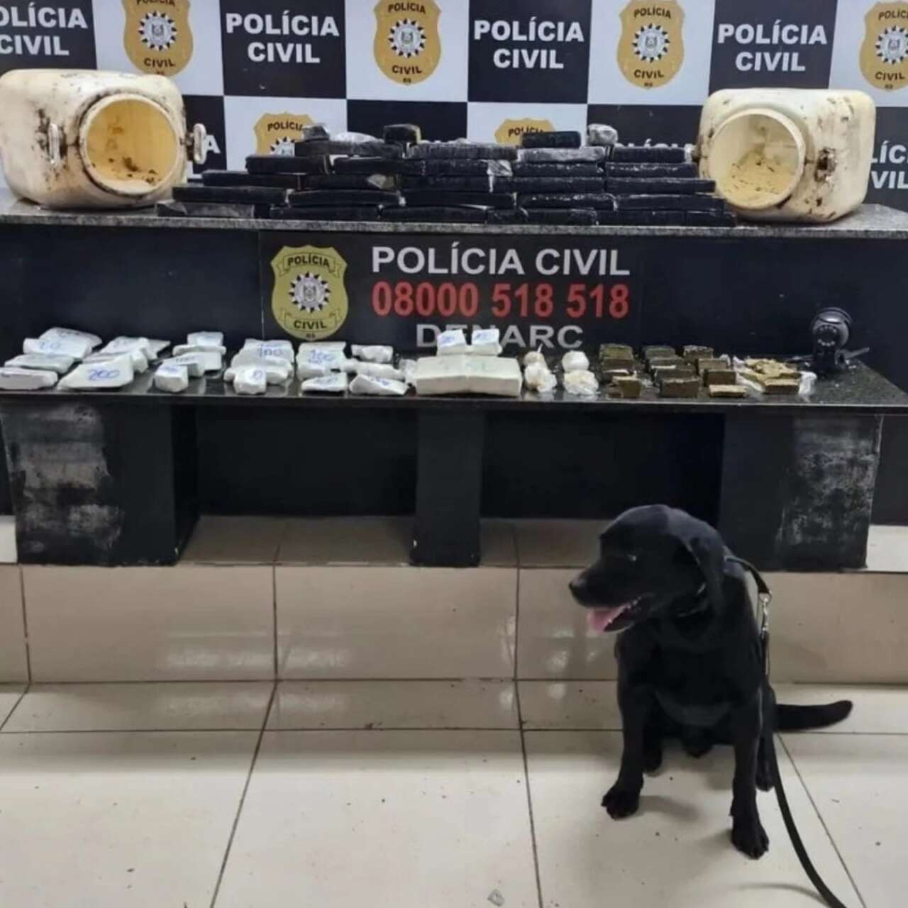 Foto: Divulgação Polícia Civil