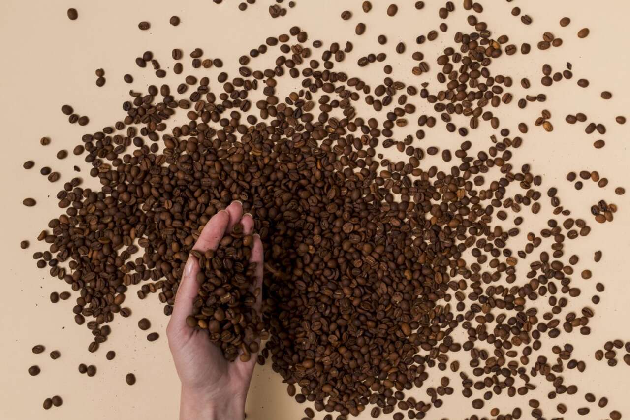 segurando-graos-de-cafe-com-mao-freepik