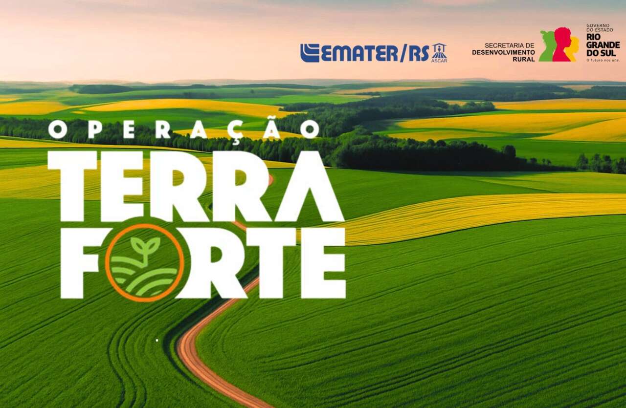 terra forte