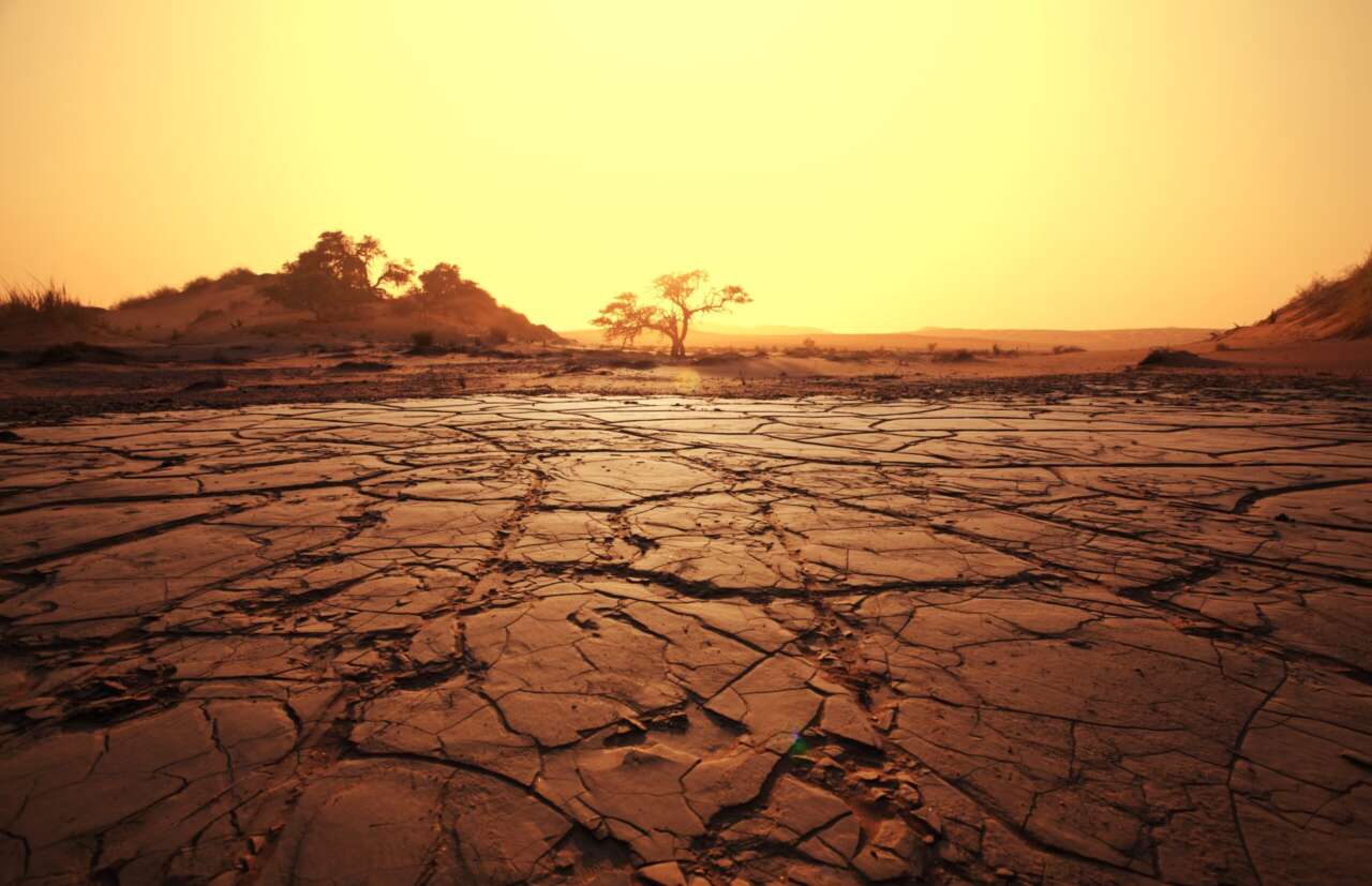 Drought land
