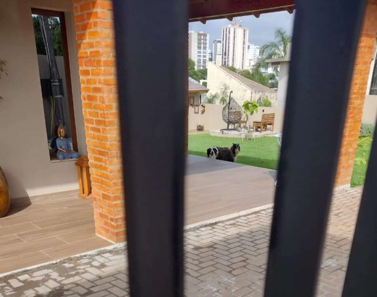 Fotos: Reprodução