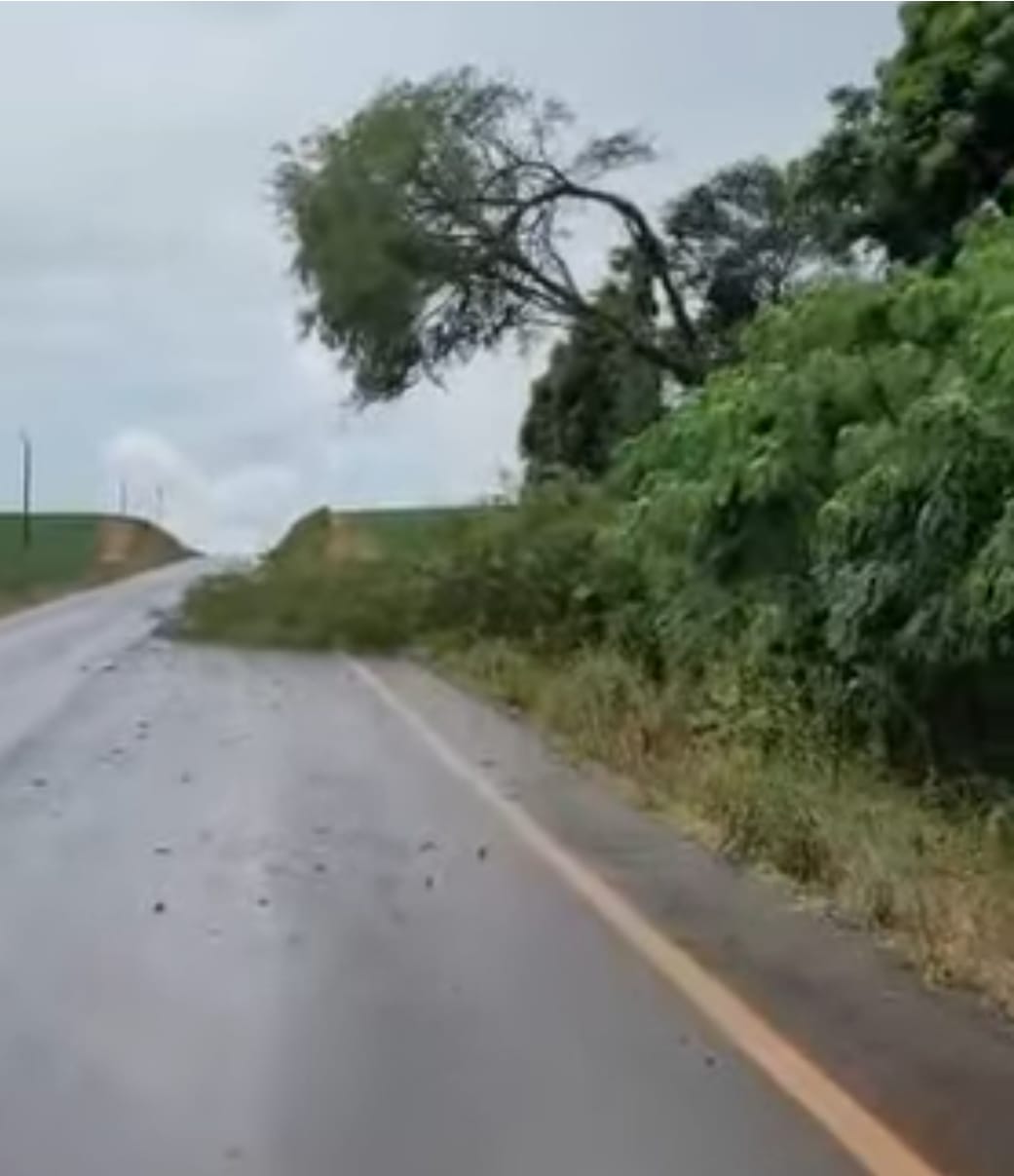 Foto: Reprodução vídeo