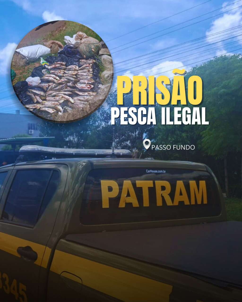 pesca ilegal3