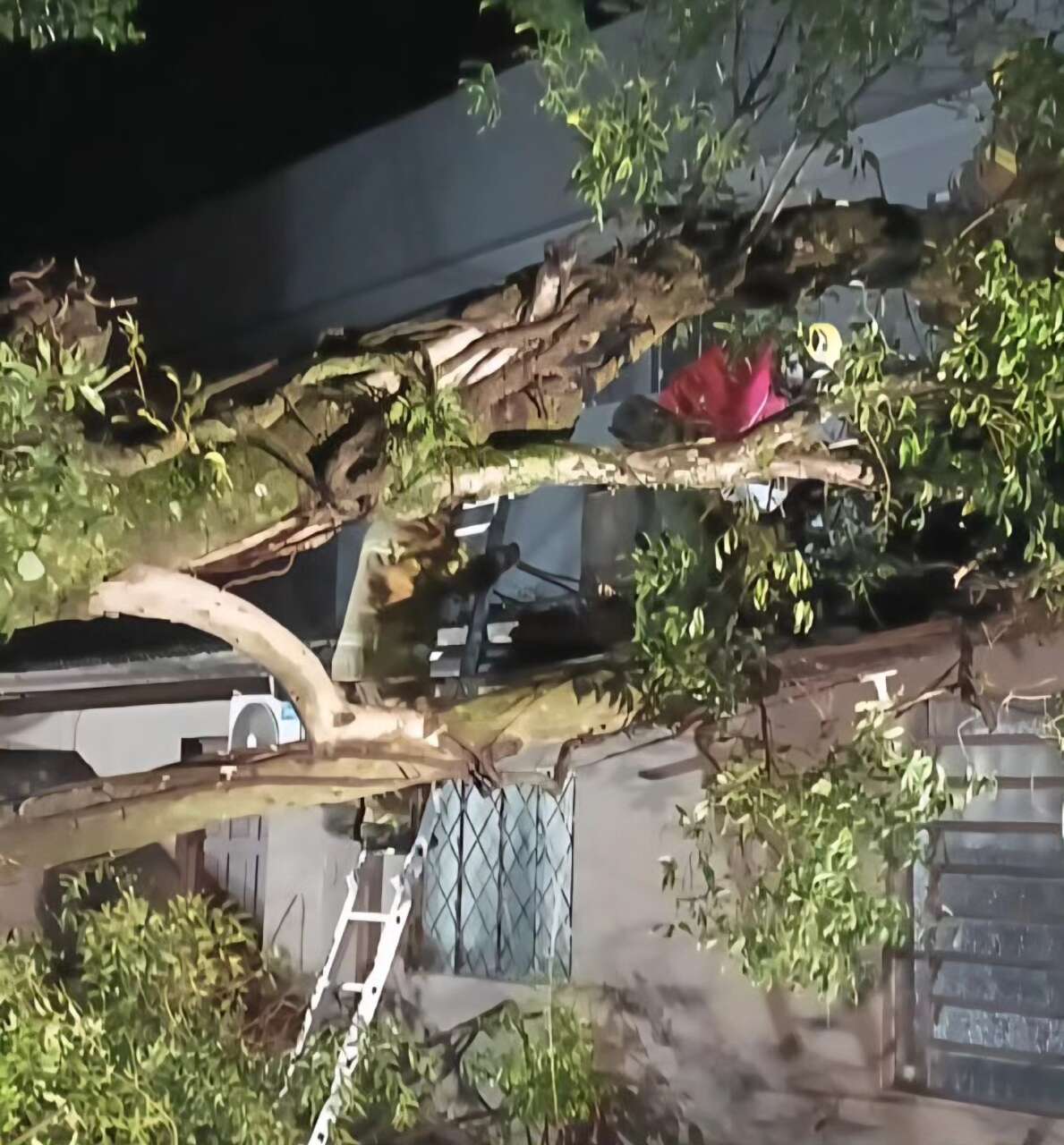 Foto: Corpo de Bombeiros Militar de Carazinho