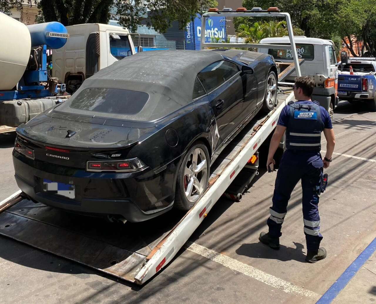 Foto: Reprodução