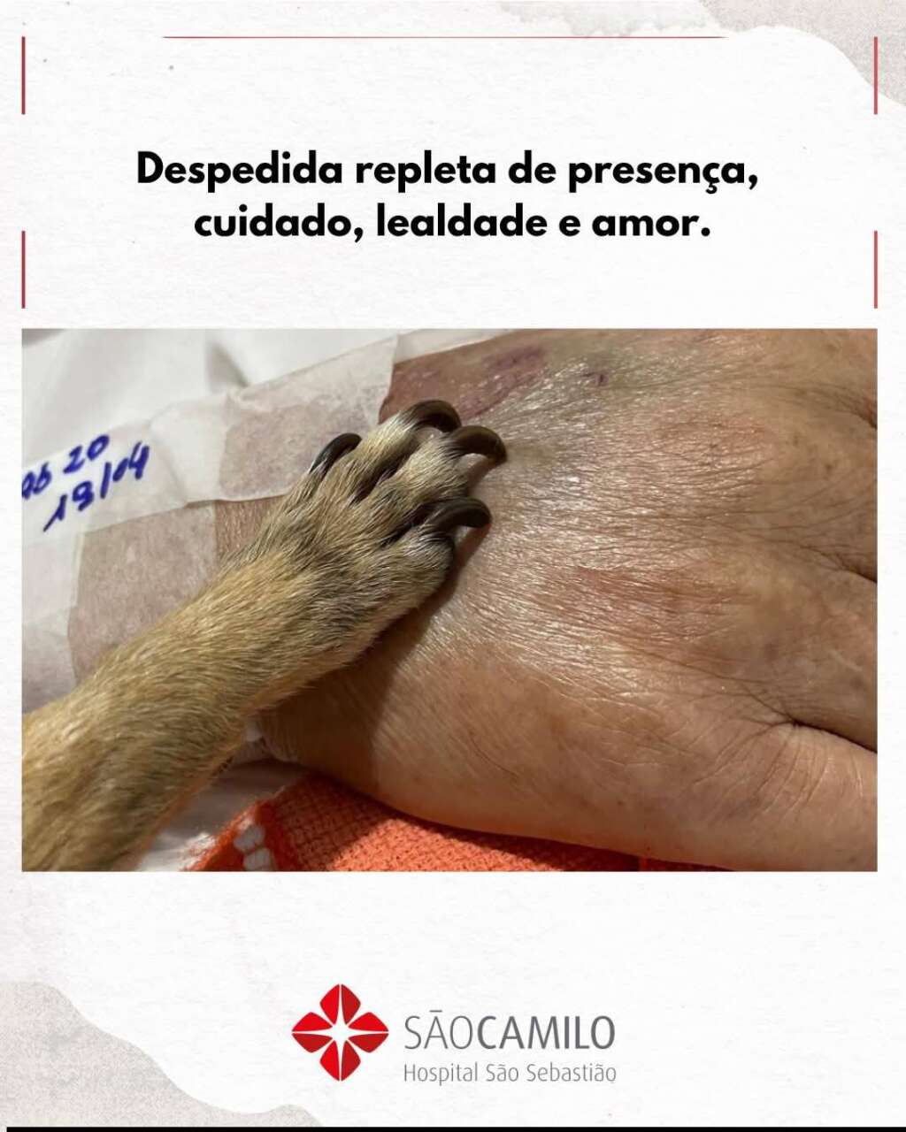 DESPEDIDA1