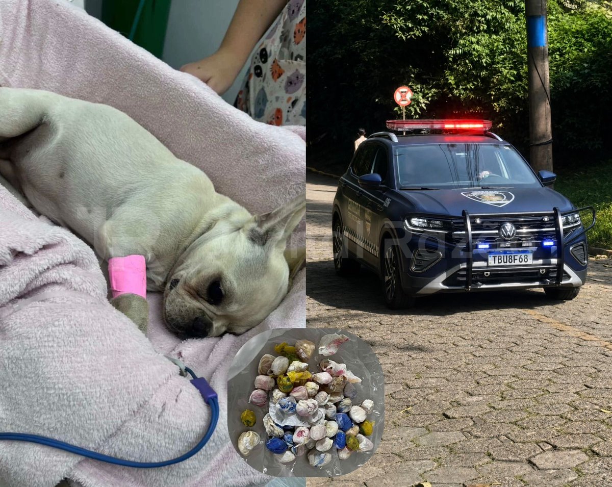 Foto: Reprodução