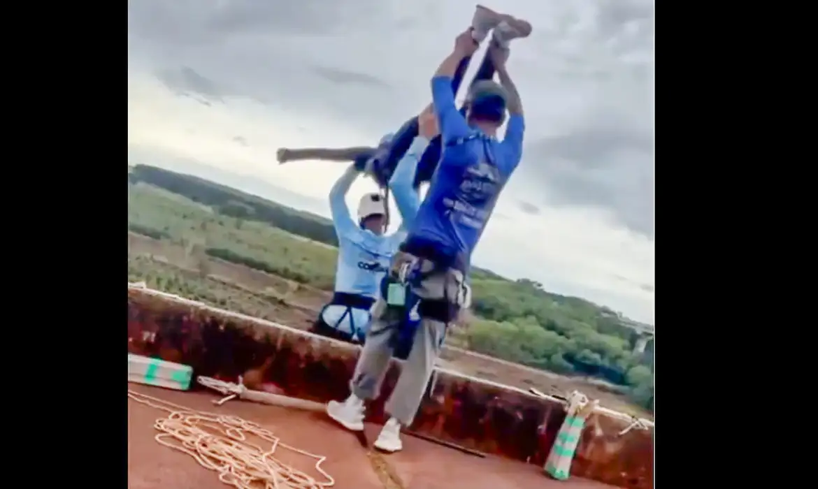 Foto: Frame Entre Cordas e Ih Voei