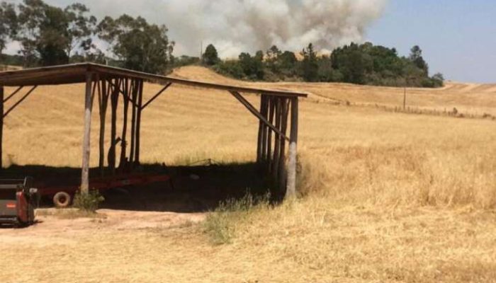 Foto: Reprodução Redes Sociais