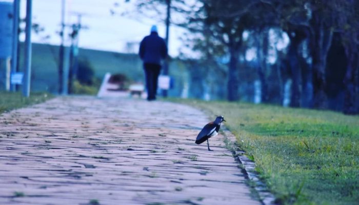 01062021_093838_082925-990x660