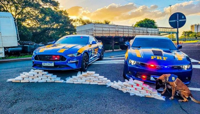 035d45a3-8779-4d17-b72b-cefe7c2242d3