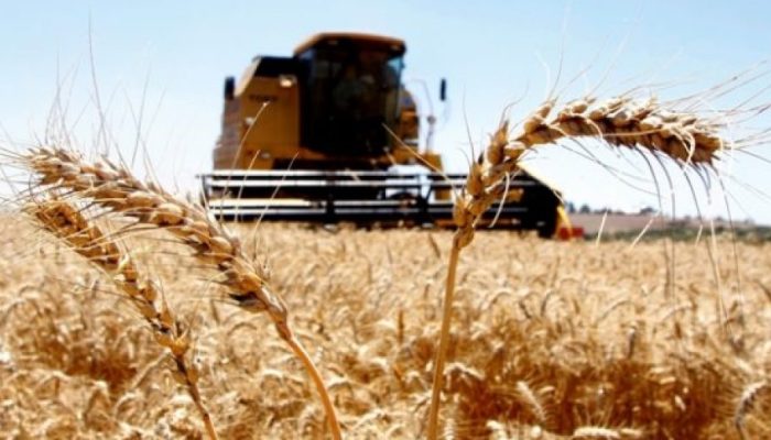 03F77A88-8A96-48C6-AF2A-A85A32B4C6CB