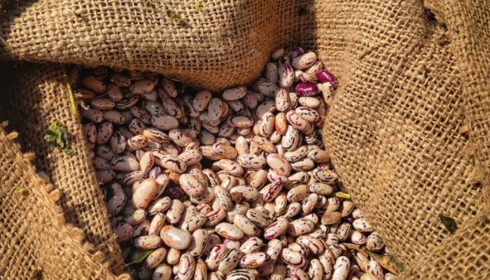 Foto: Divulgação/Seapdr