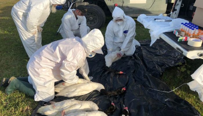 07160227_2077614_GDO