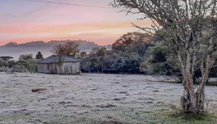 Foto: Iara Krisna Puntel/ Divulgação