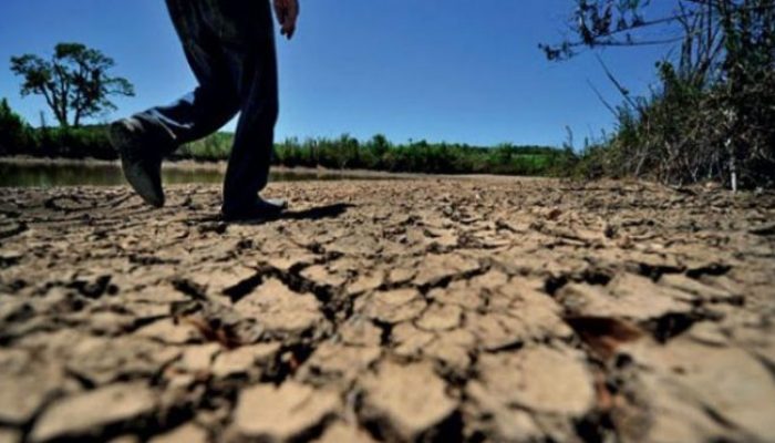 07B618B3-4354-49A7-A513-1B71D9778E13