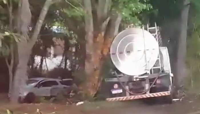 090a6646-74cb-44f2-ba51-cabd9a4faaa8