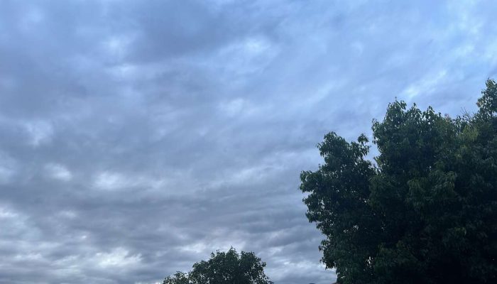 0BB23446-D54C-4E37-815B-E96673B21827