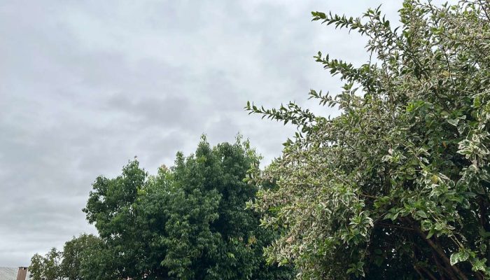 0CE9A208-3123-48FD-A05F-9650DCADEC4B