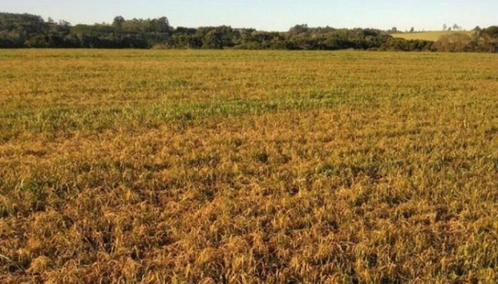 0aec1642c4828778bd6c8f971831b611