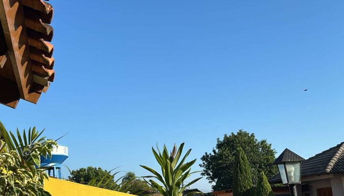 0da08f13-b116-48ce-a633-dce00239c1c0