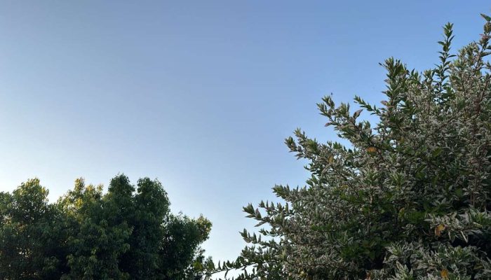 0f5cc051-bdbc-4247-9791-46631bb1c168