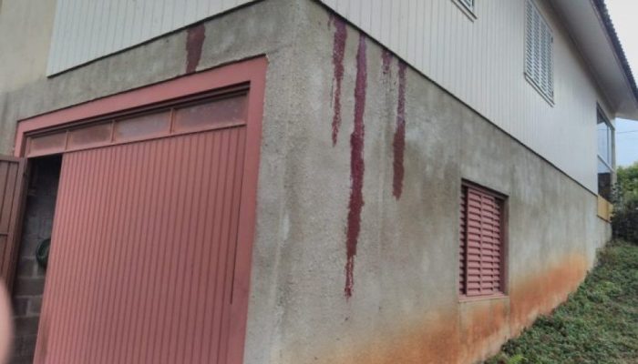 1000x0_1649860346_19486601