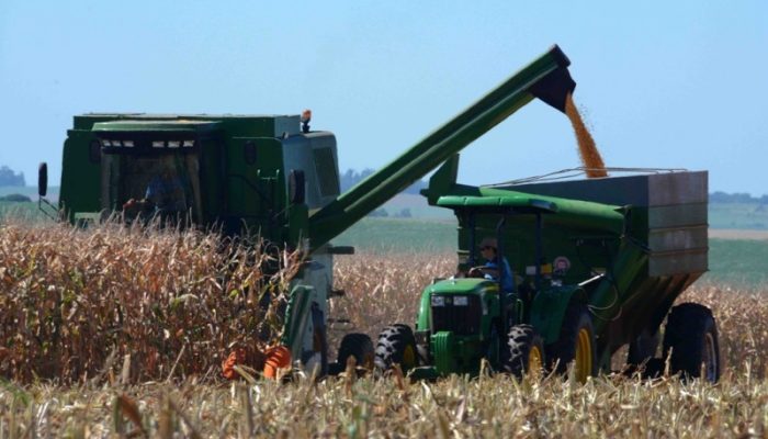 Foto: Fernando Dias/Seapdr