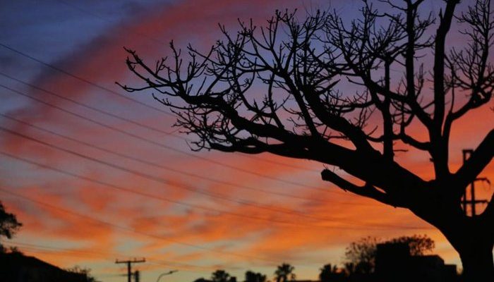 Foto: Lauro Alves / Agencia RBS