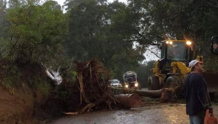 106648140_3587396844609200_7183369636799246062_o