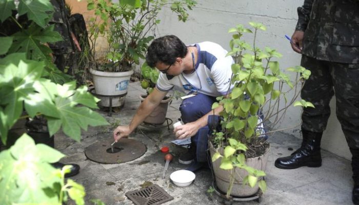 No verão, com as chuvas, há alta na proliferação do mosquito (Foto: Tomaz Silva/Agência Brasil)