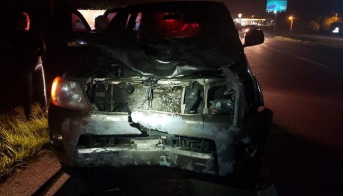 1171509_b653e7be5ae639a-696x463-1