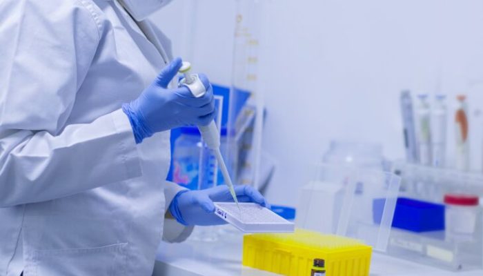 Variante é caracterizada pela rápida transmissibilidade em relação às demais cepas detectadas (Foto: Pixabay)