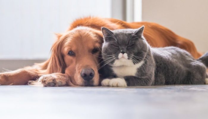 12469E7D-7524-40F3-A20B-2FB5242715F3