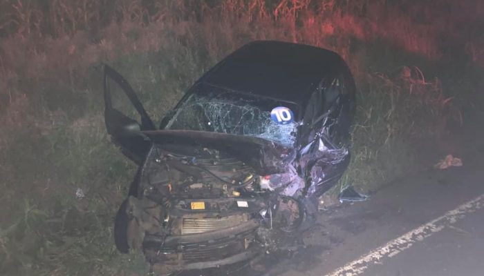 127194289_3784985764902739_8739032181043593512_n