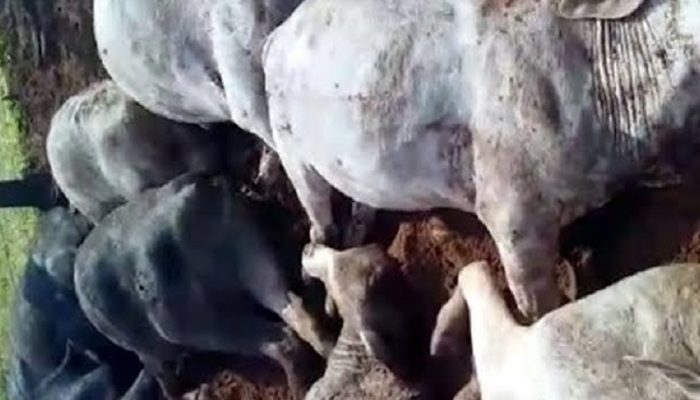 14bbb248815a86a7126798bd760efc9b