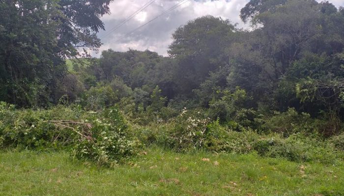 150371804_1512740172263348_7624287145448076768_o