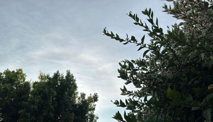 15eff2f9-0aaa-42bf-8b9d-08041f158455