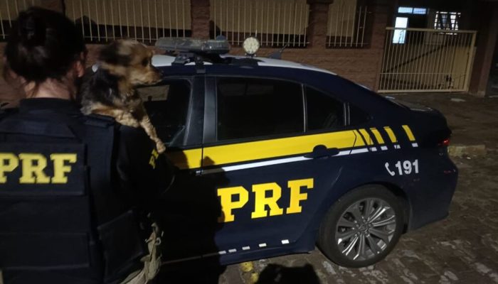 16122022_080923_585852-990x660 (1)