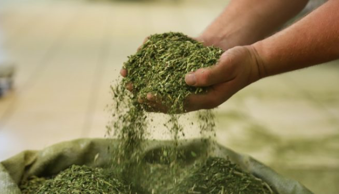 1737E7CB-49AF-4BE8-BCEA-ADDBA1045F72