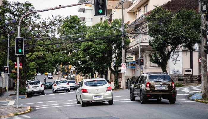 176dfd4e-bc6e-4549-80d4-cda601ca5b2c_1000